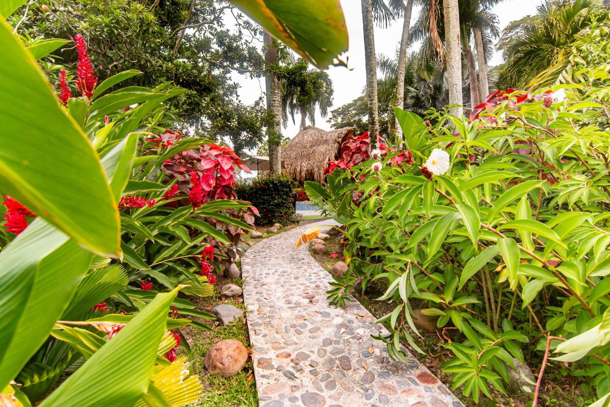 Portales Del Tayrona Garden Hotel Calabazo  Екстер'єр фото